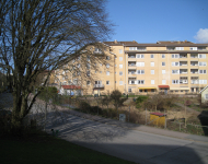 IMG 0390